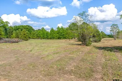 00 Hwy 69, Alba, TX 75410 - Photo 10