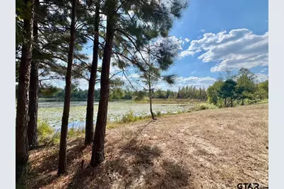 Lot 17 Cr 3545, Hawkins, TX 75765 - Photo 4