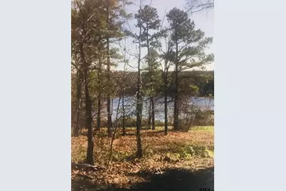 Lot 17 Cr 3545, Hawkins, TX 75765 - Photo 2