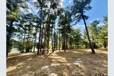 Lot 17 Cr 3545, Hawkins, TX 75765 - Photo 6