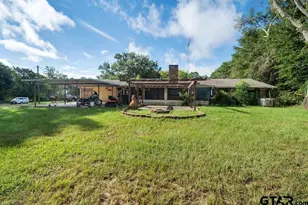 16659 C R 223, Arp, TX 75750 - Photo 12