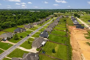 226 Sunnys Halo Blvd, Bullard, TX 75757 - Photo 44