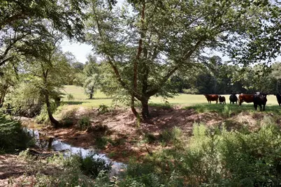 Tbd Cr 246, Arp, TX 75750 - Photo 44