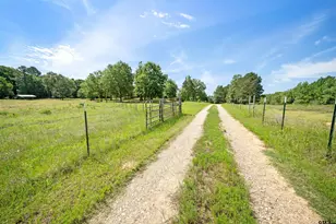 1001 Fm 1254, Mineola, TX 75773 - Photo 42