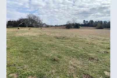 22479 Old Tyler Road, Troup, TX 75789 - Photo 4