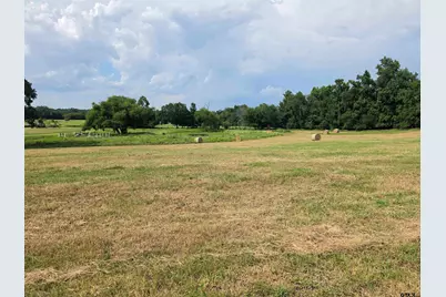 22479 Old Tyler Rd, Troup, TX 75789 - Photo 1