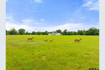 20108 Cr 452, Mineola, TX 75773 - Photo 48