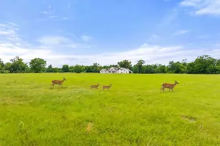 20108 Cr 452, Mineola, TX 75773 - Photo 48