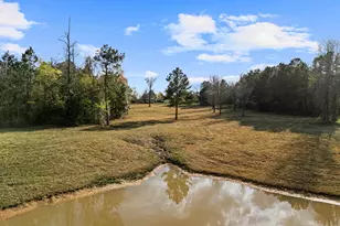 11554 Fm 1649, Ore City, TX 75683 - Photo 34