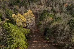 11554 Fm 1649, Ore City, TX 75683 - Photo 38