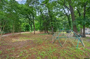 16884 County Rd 3147, Tyler, TX 75706 - Photo 18