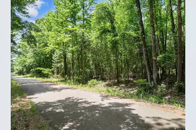 17835 County Road 361, Winona, TX 75792 - Photo 2