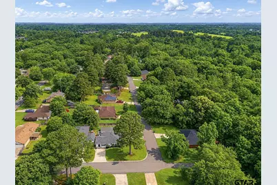 19017 Pinedale Circle, Flint, TX 75762 - Photo 46