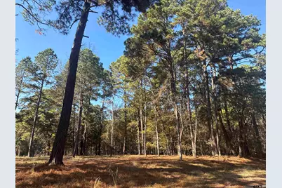 186 Susan Dr, Bullard, TX 75757 - Photo 4