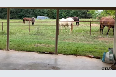 2970 Cr 2110, Pittsburg, TX 75686 - Photo 28
