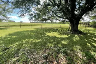 2970 Cr 2110, Pittsburg, TX 75686 - Photo 22