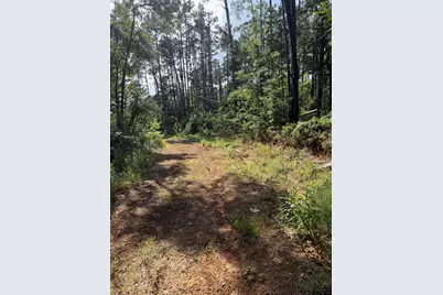 0232 Sunset Trail, Flint, TX 75762 - Photo 8