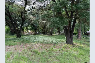 Tbd Oakleigh Street, Hawkins, TX 75765 - Photo 2