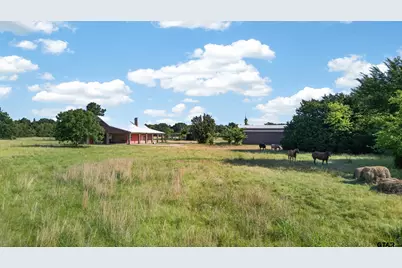 2864 Vz County Road 2719, Mabank, TX 75147 - Photo 4