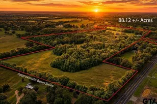 8150 S Texas Hwy 37, Winnsboro, TX 75494 - Photo 48