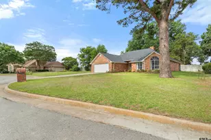 19234 Honeysuckle Dr, Flint, TX 75762 - Photo 4