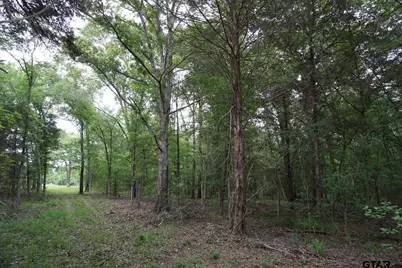 Tbd Cr 1200, Malakoff, TX 75148 - Photo 20