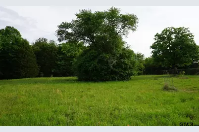 Tbd Cr 1200, Malakoff, TX 75148 - Photo 1