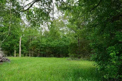 Tbd Cr 1200, Malakoff, TX 75148 - Photo 22