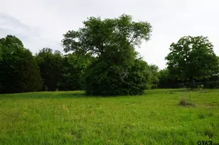 Tbd Cr 1200, Malakoff, TX 75148 - Photo 1