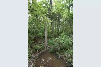 Tbd2 Cr 1200, Malakoff, TX 75148 - Photo 8