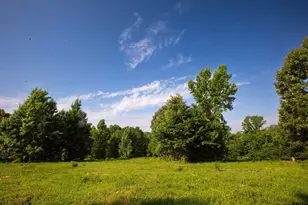 1211 An County Rd 153, Palestine, TX 75801 - Photo 34