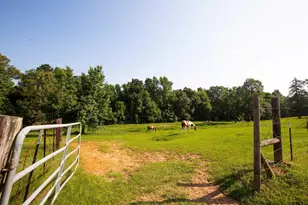 1211 An County Rd 153, Palestine, TX 75801 - Photo 20