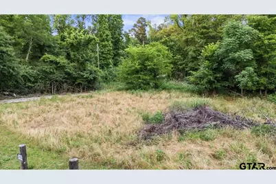 12772 County Road 353, Winona, TX 75792 - Photo 2