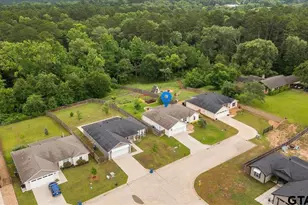 111 Lainey Ln, Mineola, TX 75773 - Photo 30