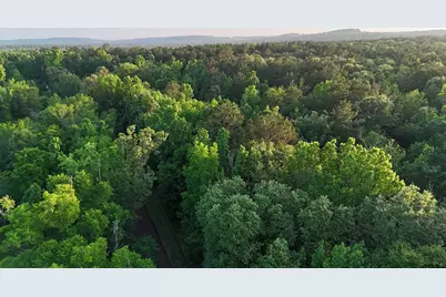 000 County Road 1204, Rusk, TX 75785 - Photo 8