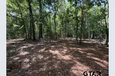 000 County Road 1204, Rusk, TX 75785 - Photo 38