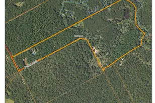 16661 Pr 2360, Oakwood, TX 75855 - Photo 4