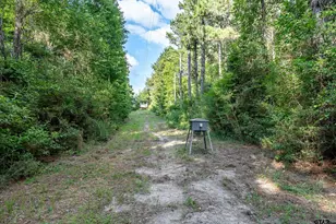 16661 Pr 2360, Oakwood, TX 75855 - Photo 40