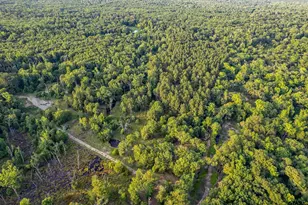 16661 Pr 2360, Oakwood, TX 75855 - Photo 30