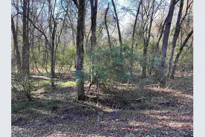 Lot 11 Carene, Frankston, TX 75763 - Photo 2