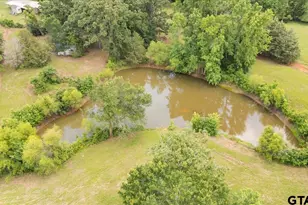 1423 An County Road 469, Palestine, TX 75803 - Photo 6