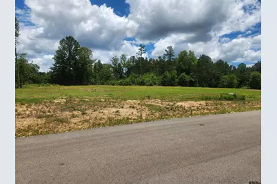 20021 Dews Ct, Lot 2, Troup, TX 75789 - Photo 4
