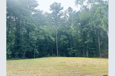 Tbd Brandon St, Troup, TX 75789 - Photo 1