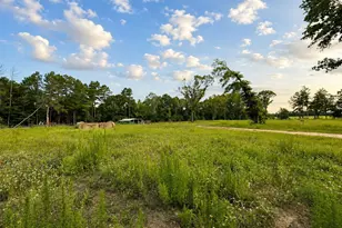 10861 County Rd 411, Tyler, TX 75704 - Photo 46