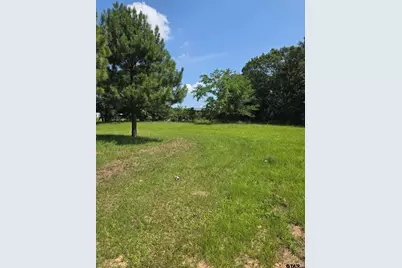 Tbd Cr 485, Tyler, TX 75706 - Photo 4