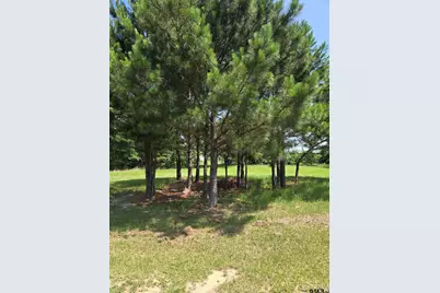 Tbd Cr 485, Tyler, TX 75706 - Photo 2