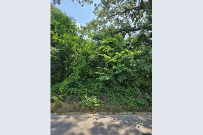 Tbd Cr 485, Tyler, TX 75706 - Photo 1