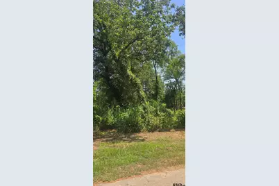 Tbd Lot 2 Brierwood Drive, Frankston, TX 75763 - Photo 4