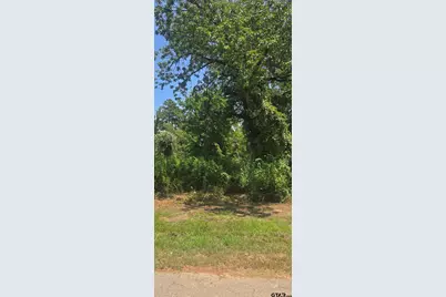 Tbd Lot 2 Brierwood Drive, Frankston, TX 75763 - Photo 6
