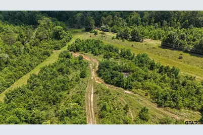 000 Avinger Cutoff Road, Avinger, TX 75630 - Photo 26